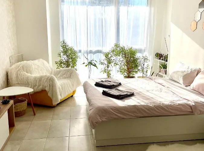 Felicity Super Burgas