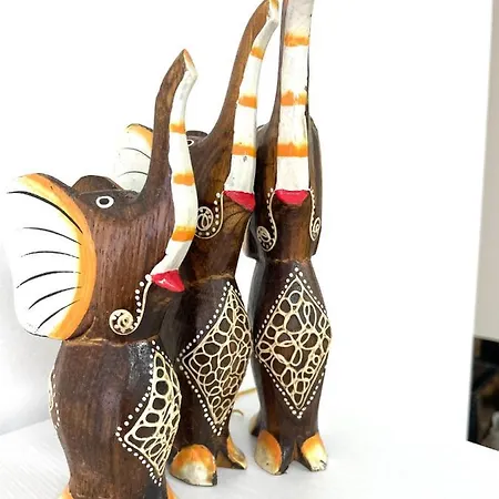 Felicity Super Burgasz