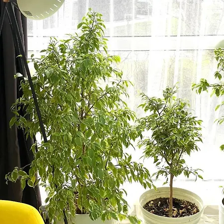 Happy Boutique Appartement Burgas