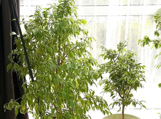 Felicity Super Appartamento Burgas